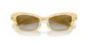 Picture of Dolce & Gabbana Sunglasses DG2311