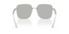 Picture of Dolce & Gabbana Sunglasses DG2310
