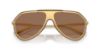 Picture of Dolce & Gabbana Sunglasses DG2309