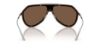 Picture of Dolce & Gabbana Sunglasses DG2309