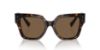 Picture of Dolce & Gabbana Sunglasses DG4471F