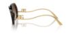 Picture of Dolce & Gabbana Sunglasses DG4468B