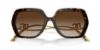 Picture of Dolce & Gabbana Sunglasses DG4468B