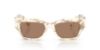 Picture of Dolce & Gabbana Sunglasses DG4462