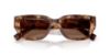 Picture of Dolce & Gabbana Sunglasses DG4462