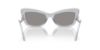 Picture of Dolce & Gabbana Sunglasses DG4467B
