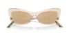 Picture of Dolce & Gabbana Sunglasses DG4467B