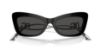 Picture of Dolce & Gabbana Sunglasses DG4467B