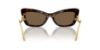 Picture of Dolce & Gabbana Sunglasses DG4467B