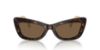 Picture of Dolce & Gabbana Sunglasses DG4467B