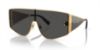 Picture of Dolce & Gabbana Sunglasses DG2305
