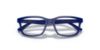 Picture of Dolce & Gabbana Eyeglasses DX5097
