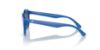 Picture of Dolce & Gabbana Sunglasses DX6002