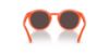Picture of Dolce & Gabbana Sunglasses DX6002