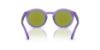 Picture of Dolce & Gabbana Sunglasses DX6002
