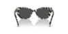 Picture of Dolce & Gabbana Sunglasses DX4427