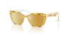 Picture of Dolce & Gabbana Sunglasses DX4427