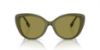 Picture of Burberry Sunglasses BE4407