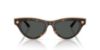 Picture of Versace Sunglasses VE2273
