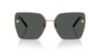 Picture of Versace Sunglasses VE2270D