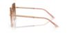 Picture of Versace Sunglasses VE2270D