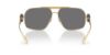 Picture of Versace Sunglasses VE2269
