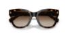 Picture of Ralph Sunglasses RA5301U