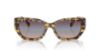 Picture of Ralph Lauren Sunglasses RL8222