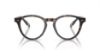 Picture of Polo Eyeglasses PH2268