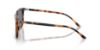 Picture of Polo Sunglasses PH4194U