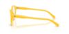 Picture of Polo Eyeglasses PH2233