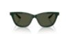 Picture of Giorgio Armani Sunglasses AR8221