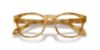 Picture of Giorgio Armani Eyeglasses AR7242