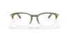 Picture of Giorgio Armani Eyeglasses AR7210