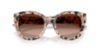 Picture of Jimmy Choo Sunglasses JC5053