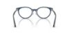 Picture of Jimmy Choo Eyeglasses JC3039D