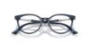 Picture of Jimmy Choo Eyeglasses JC3039D