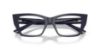 Picture of Jimmy Choo Eyeglasses JC3031BU