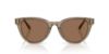 Picture of Jimmy Choo Sunglasses JC5043D