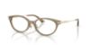 Picture of Jimmy Choo Eyeglasses JC3029D