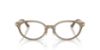 Picture of Jimmy Choo Eyeglasses JC3029D