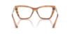 Picture of Jimmy Choo Eyeglasses JC3020B