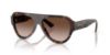 Picture of Jimmy Choo Sunglasses JC5027