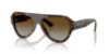 Picture of Jimmy Choo Sunglasses JC5027