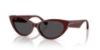 Picture of Jimmy Choo Sunglasses JC5023H