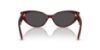Picture of Jimmy Choo Sunglasses JC5023H
