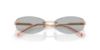 Picture of Jimmy Choo Sunglasses JC4013D