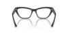 Picture of Jimmy Choo Eyeglasses JC3014