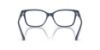 Picture of Jimmy Choo Eyeglasses JC3012