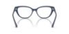 Picture of Jimmy Choo Eyeglasses JC3011